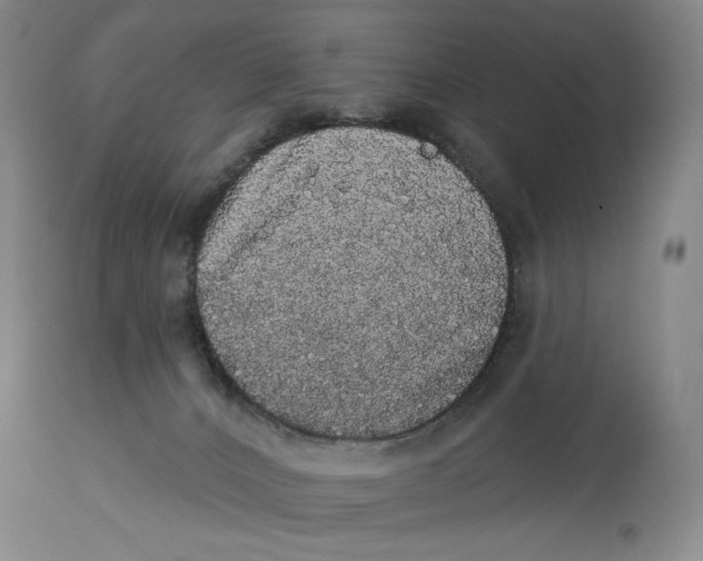 X0000113980032200910231718