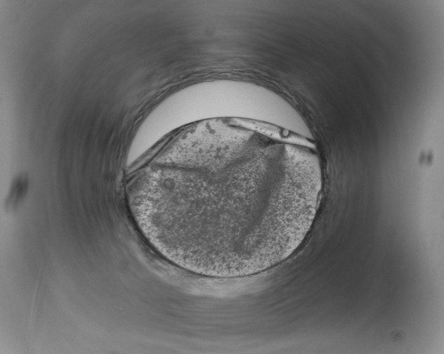X0000113980033200910231718