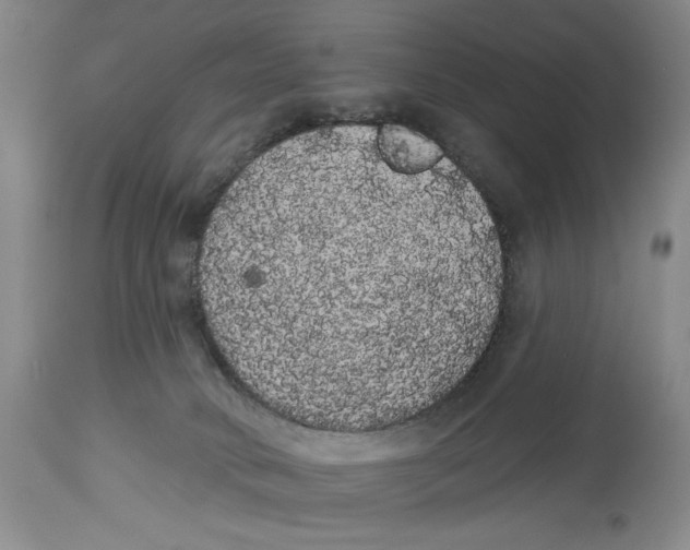 X0000113980034200910231718