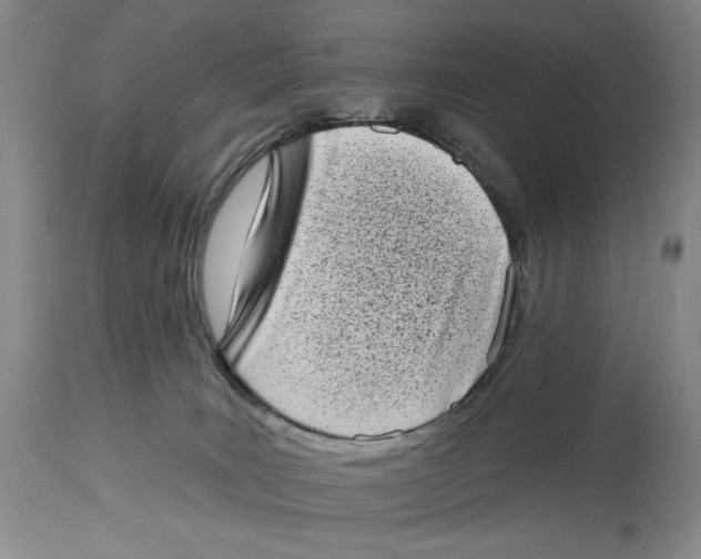 X0000113980035200910231718