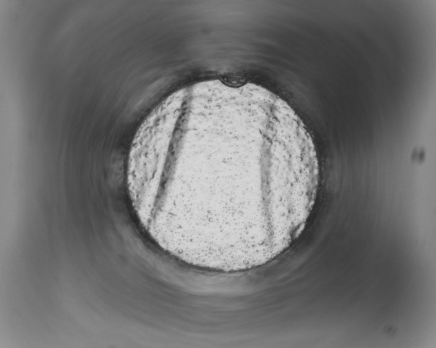 X0000113980036200910231718