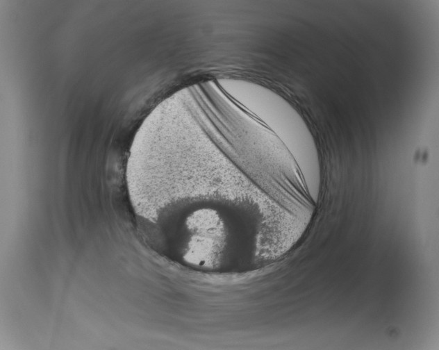 X0000113980037200910231717