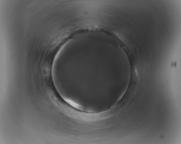 X0000113980039200910231717