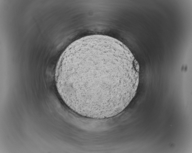 X0000113980040200910231717