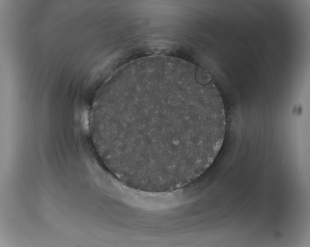 X0000113980042200910231717