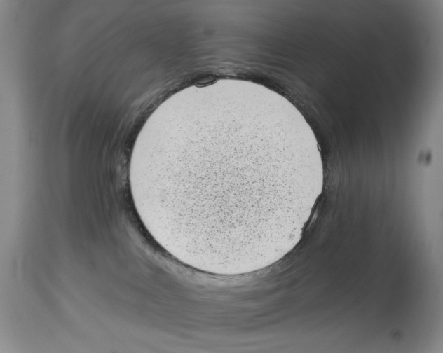 X0000113980043200910231717