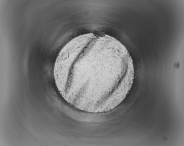 X0000113980044200910231717
