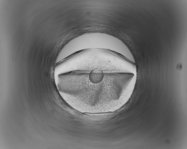 X0000113980045200910231717