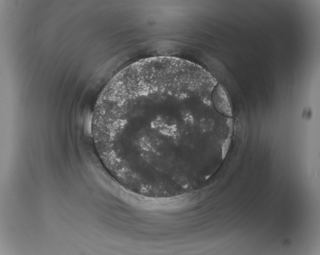 X0000113980046200910231717