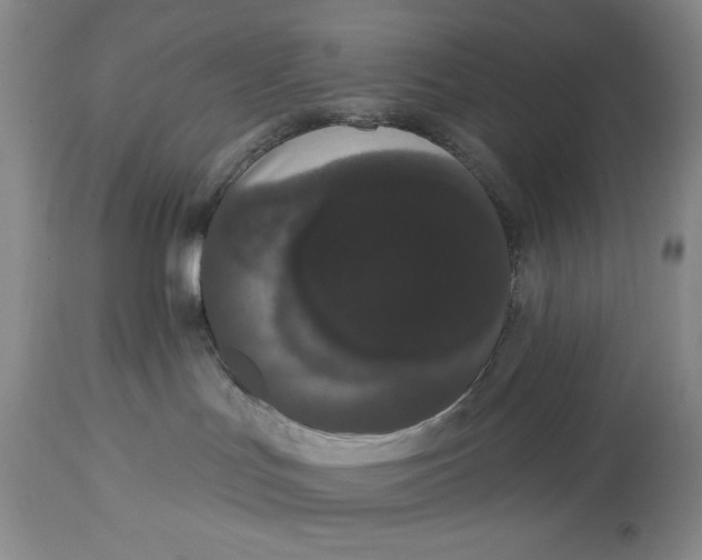 X0000113980047200910231717