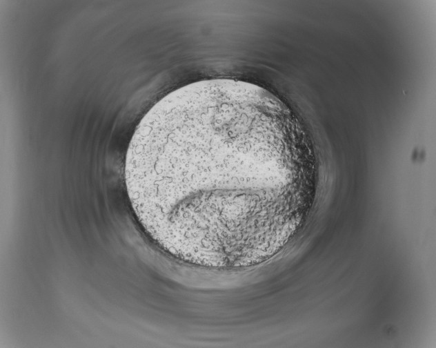 X0000113980048200910231717