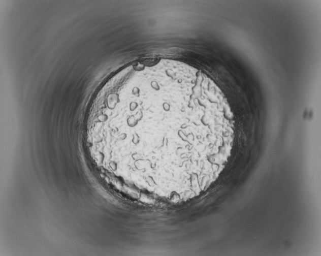 X0000113980049200910231717