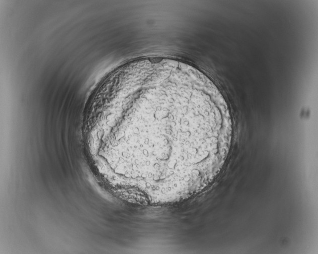 X0000113980050200910231717