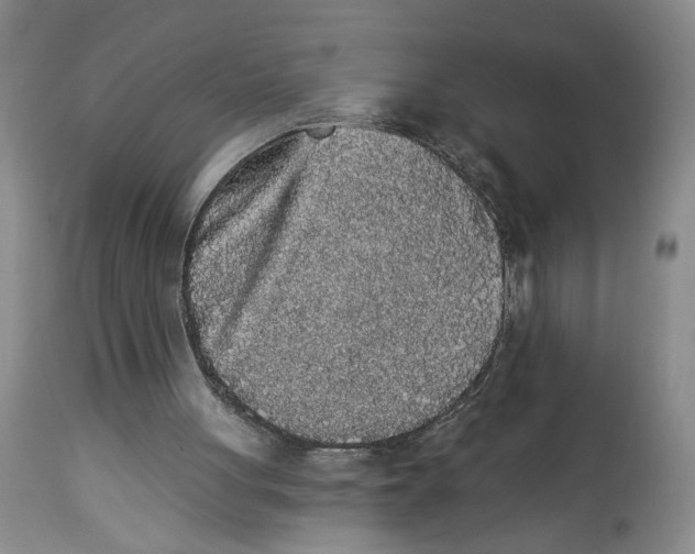 X0000113980051200910231717