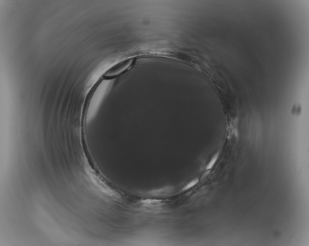 X0000113980052200910231717