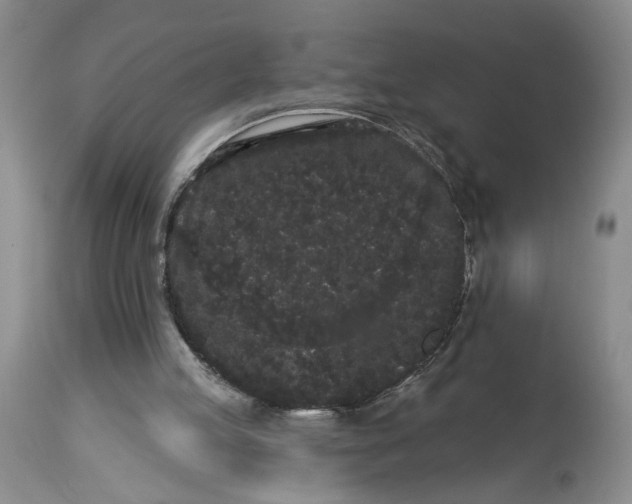 X0000113980053200910231717