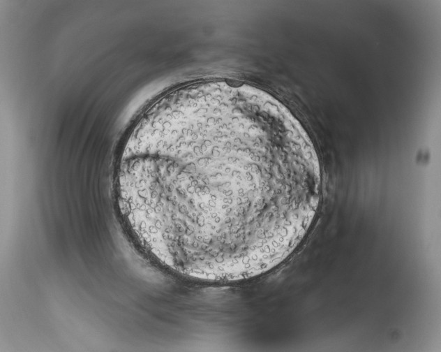 X0000113980054200910231717