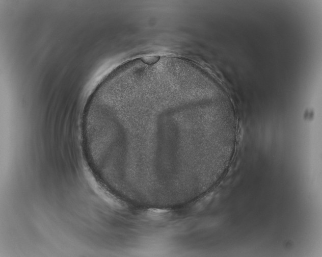 X0000113980055200910231717