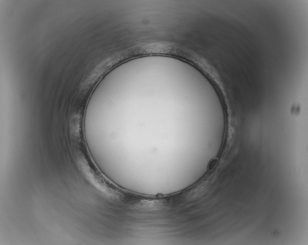 X0000113980057200910231717