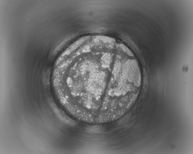 X0000113980058200910231717