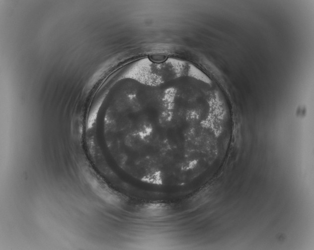 X0000113980059200910231717