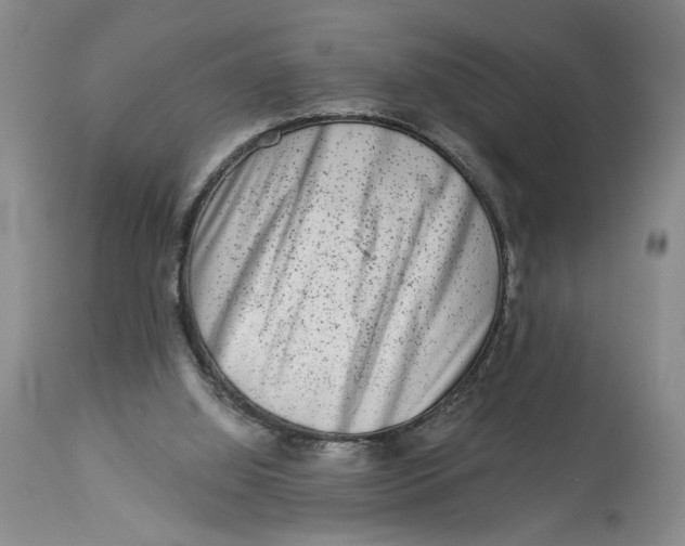 X0000113980060200910231717