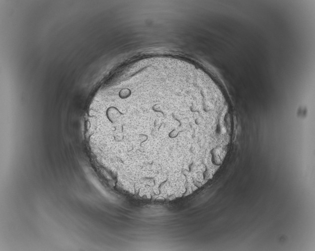 X0000113980061200910231717
