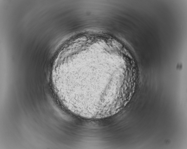 X0000113980062200910231717