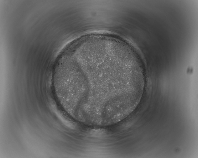 X0000113980063200910231717