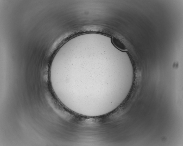 X0000113980064200910231717