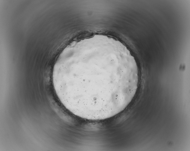 X0000113980065200910231717