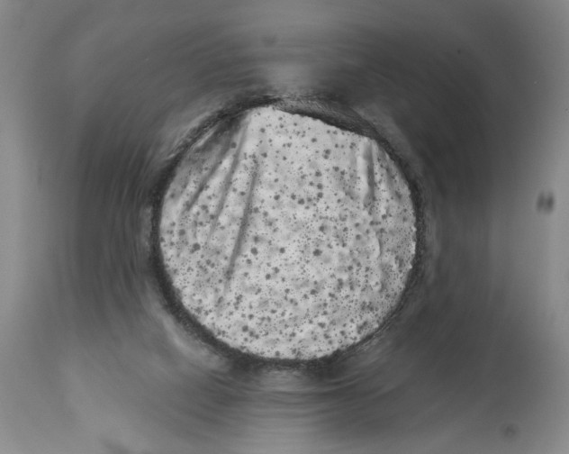 X0000113980066200910231717