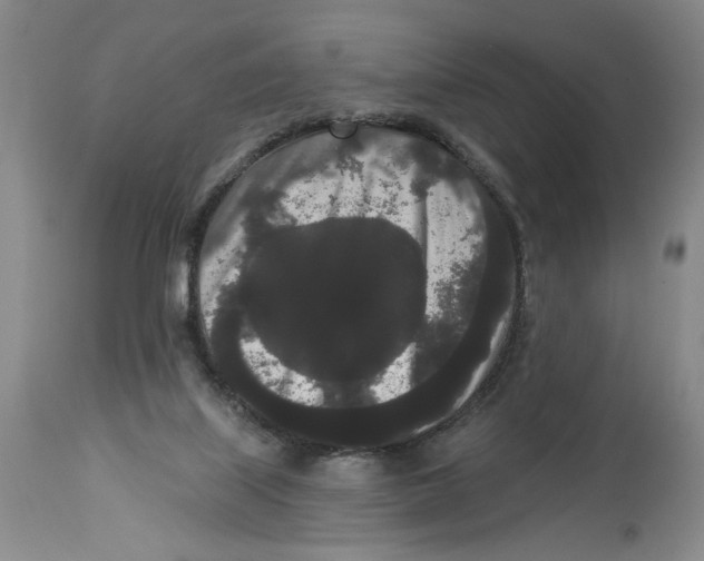 X0000113980067200910231717
