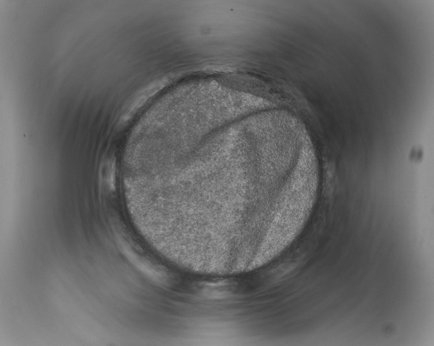 X0000113980068200910231717