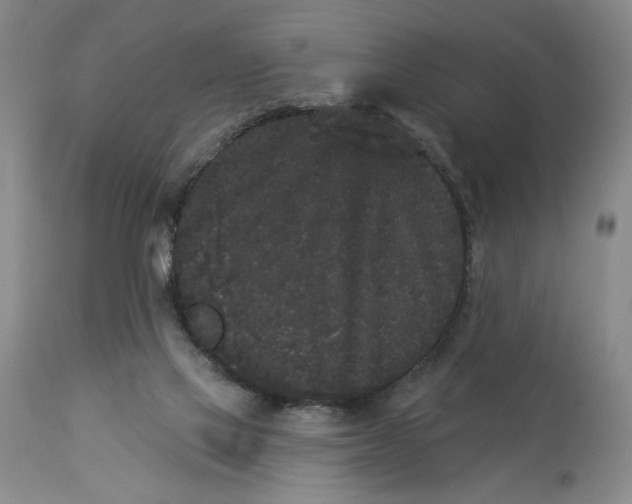 X0000113980069200910231717