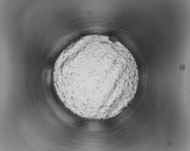 X0000113980070200910231717