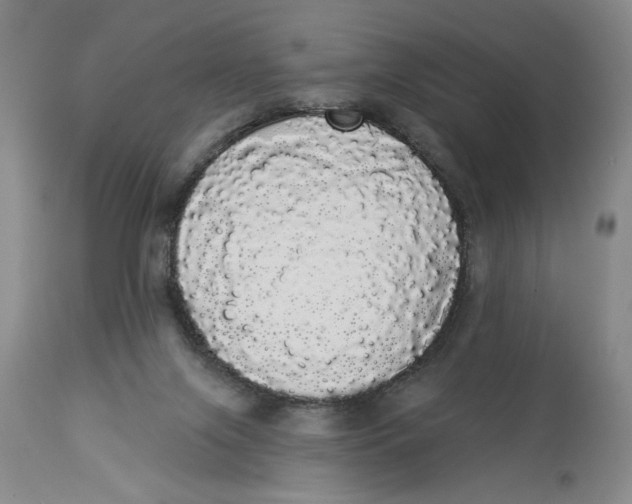 X0000113980071200910231717