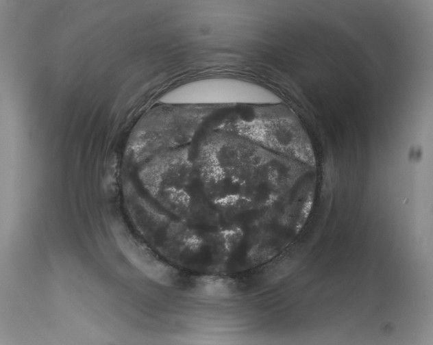 X0000113980073200910231717