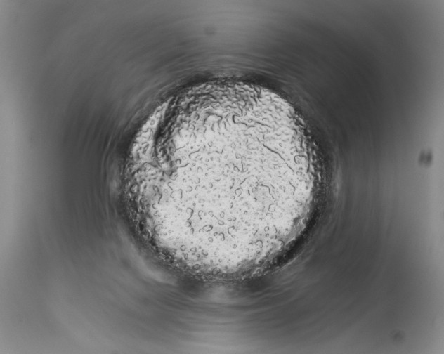 X0000113980074200910231717