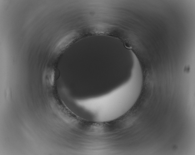 X0000113980076200910231717