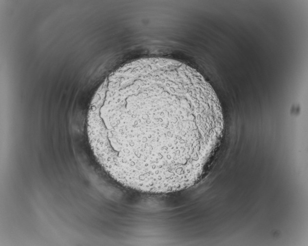 X0000113980078200910231717