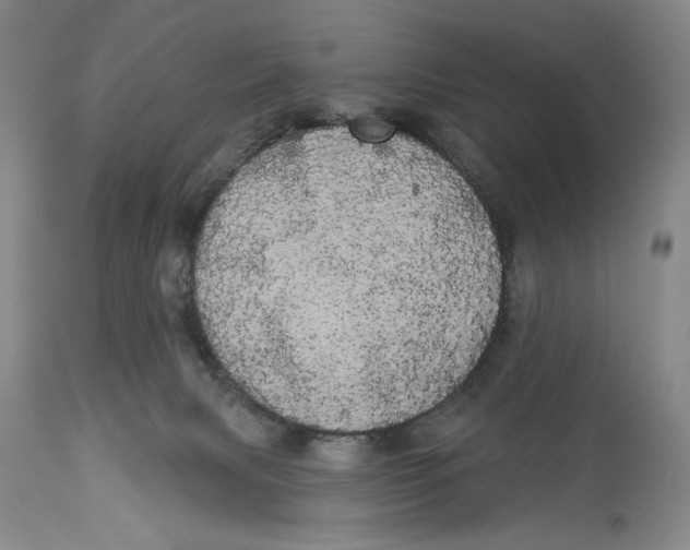 X0000113980079200910231717