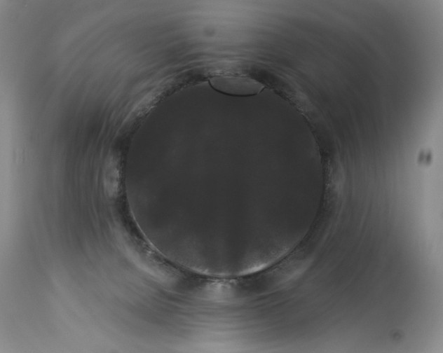X0000113980080200910231717