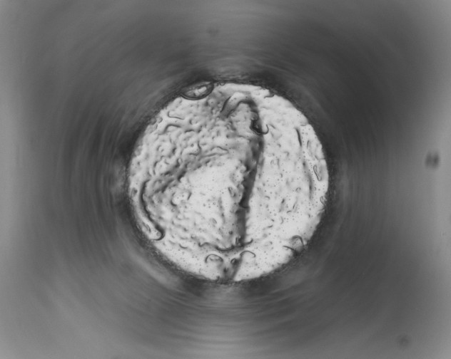 X0000113980081200910231717