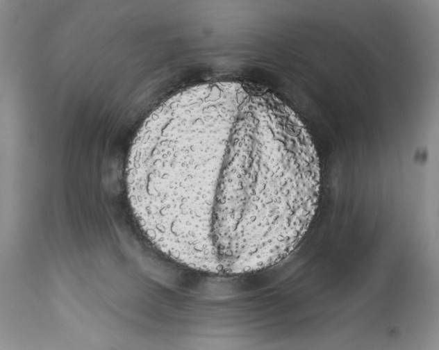 X0000113980082200910231717