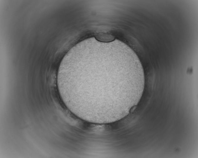 X0000113980083200910231717