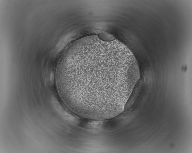 X0000113980084200910231717
