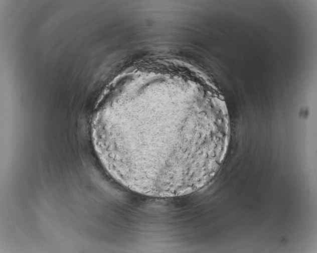 X0000113980086200910231717