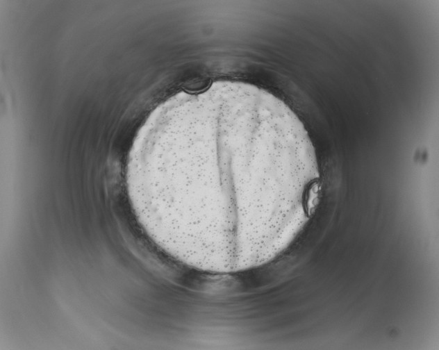 X0000113980087200910231717