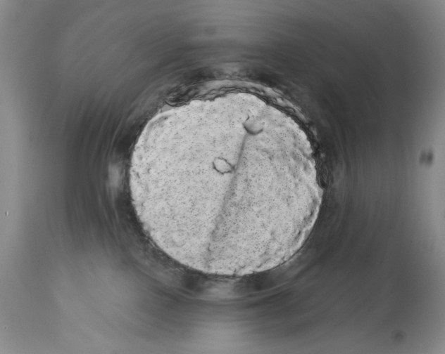 X0000113980090200910231717